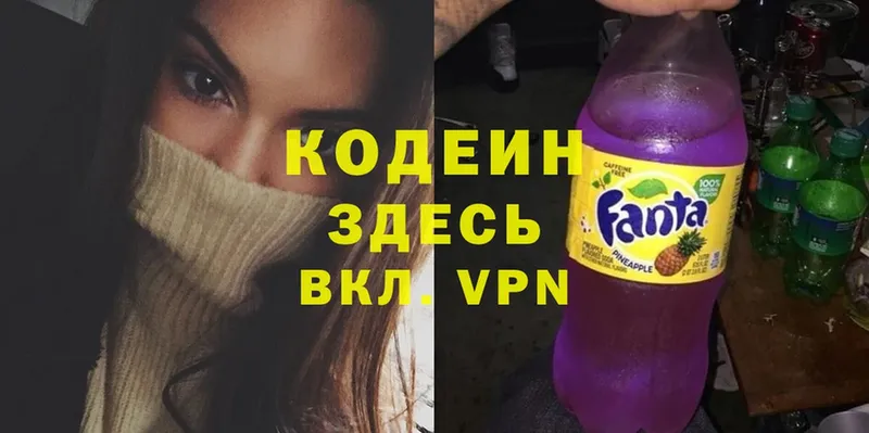 Codein Purple Drank  Бакал 